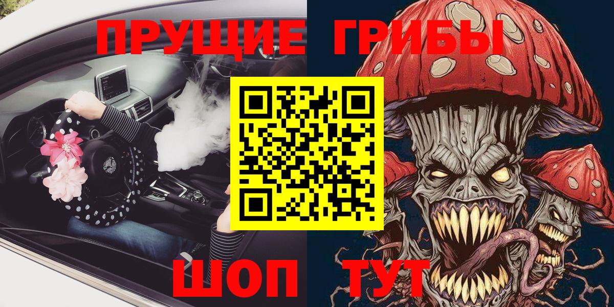 Грозный  Псилоцибиновые грибы Psilocybe  Вход с VPN 